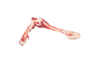 Mutton Leg Bone - Ausmeat 4933